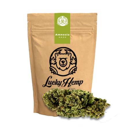 Amnesia Haze Ecopack Flowers Lucky Hemp