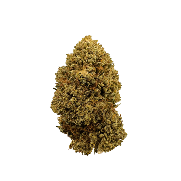 Northern Lights Ecopack