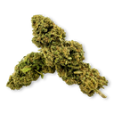 Paquete ecológico Banana Runtz