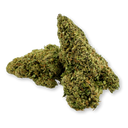 Paquete ecológico morado Granddaddy