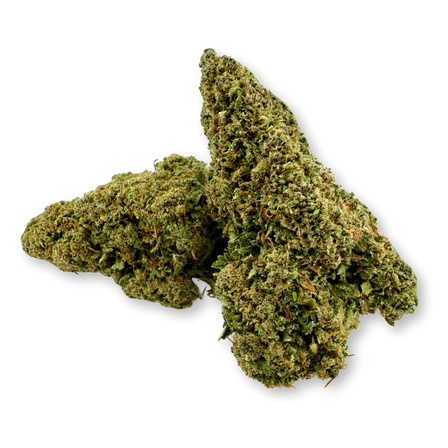 Paquete ecológico morado Granddaddy