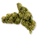 Paquete ecológico de Moby Dick