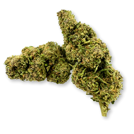 Paquete ecológico de Moby Dick