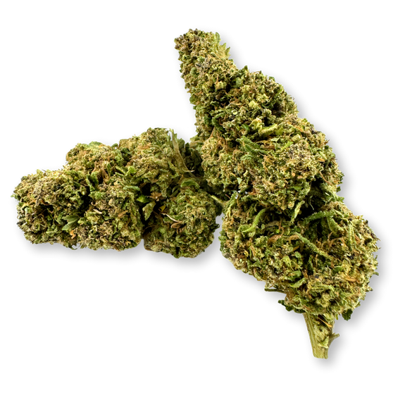 Paquete ecológico de Moby Dick