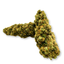 Paquete ecológico de Godzilla