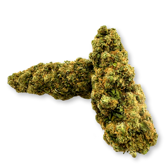 Paquete ecológico de Godzilla