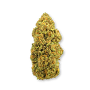 Tropicana Ecopack