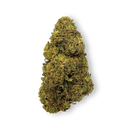 Tropical Haze Restos