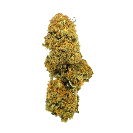 Mango Kush Eco Pack Flowers Lucky Hemp
