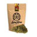 Tropical Haze Restos