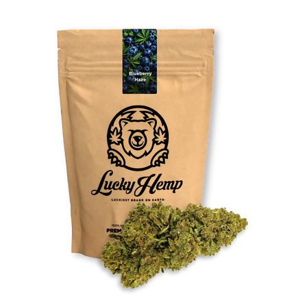 Blueberry Haze ecopack