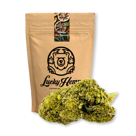 Paquete ecológico de naranja seca congelada