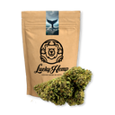 Paquete ecológico de Moby Dick