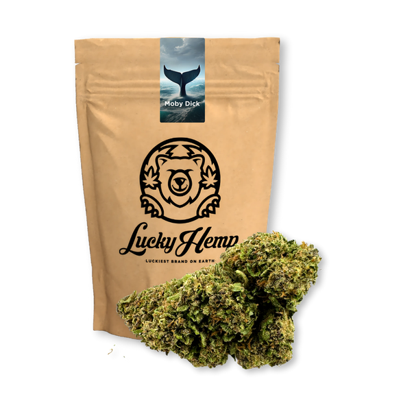 Paquete ecológico de Moby Dick