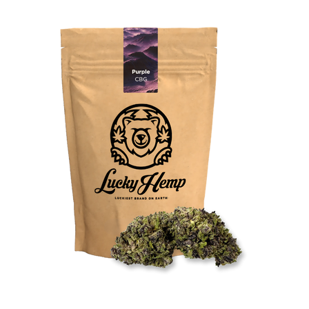 Paquete ecológico de CBG morado