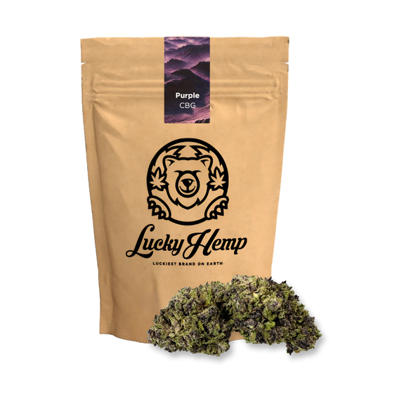 Paquete ecológico de CBG morado