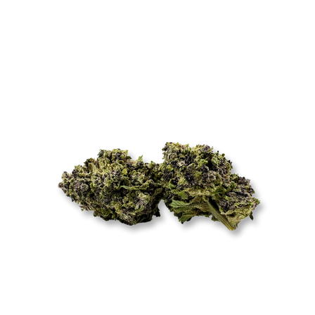 Paquete ecológico de CBG morado