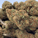 Tropicana Ecopack