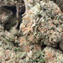 Ecopack Cali Pop