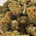 Mango Kush Eco Pack