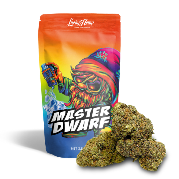 Master Dwarf Cali Pack Blossoms Lucky Hemp   