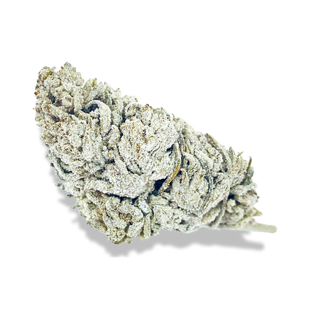 Snow Haze® 41% CBD ecopack flowers Lucky Hemp   